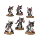 Warhammer 40,000 - Emperor's Children: Noise Marines