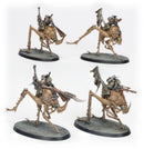 Necromunda - Ash Wastes Nomads Dustback Helamites