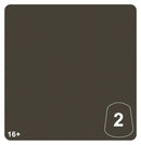 Warhammer Tone Pro Paint: Dataslate Grey