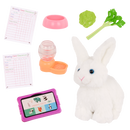 Our Generation Doll Tabby & Rabbit