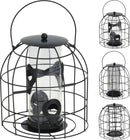 Caged Bird Feeder