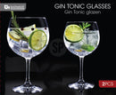 Gin Glasses 2 Pack