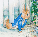 Crystal Art Card 18cm x 18cm - Peter Rabbit Under The Fence