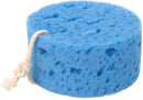 Bath Sponge