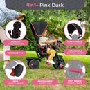 Zoomee 4 in 1 Deluxe Trike - Pink Dusk