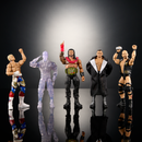 WWE Elite Action Figure Assortment - Greatest Hits