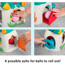 Fisher Price Seek & Find Frog