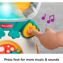 Fisher Price Seek & Find Frog