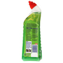 Harpic Active Fresh Toilet Cleaning Gel 750ml - Palm Paradise