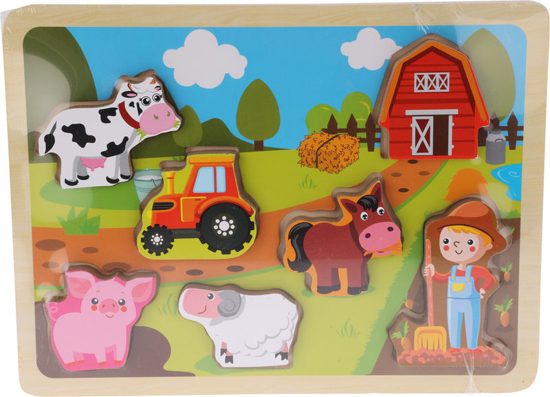 Wooden Puzzle Assorted