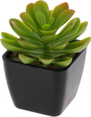 Faux Succulent Plant Pot Assorted