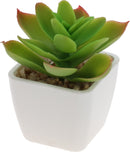 Faux Succulent Plant Pot Assorted