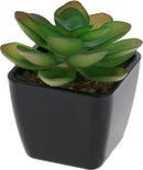 Faux Succulent Plant Pot Assorted