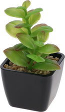 Faux Succulent Plant Pot Assorted