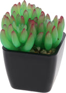 Faux Succulent Plant Pot Assorted