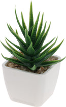 Faux Succulent Plant Pot Assorted