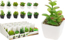 Faux Succulent Plant Pot Assorted