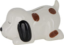 Animal Money Box Assorted