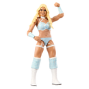 WWE Basic Action Figure Assortment - Series 159