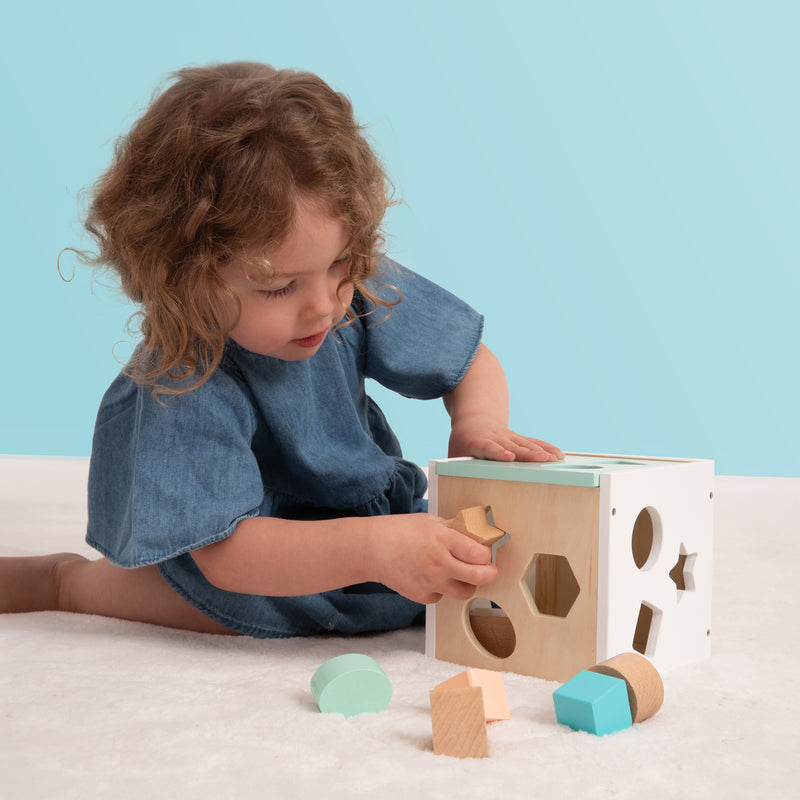 Owl & Fox Wooden Shape Sorter