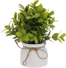 Artificial Plant In Pot Assorted