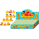 Quack Pack Surprise Duck Assorted