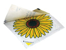 Fly Window Stickers - Pack of 4