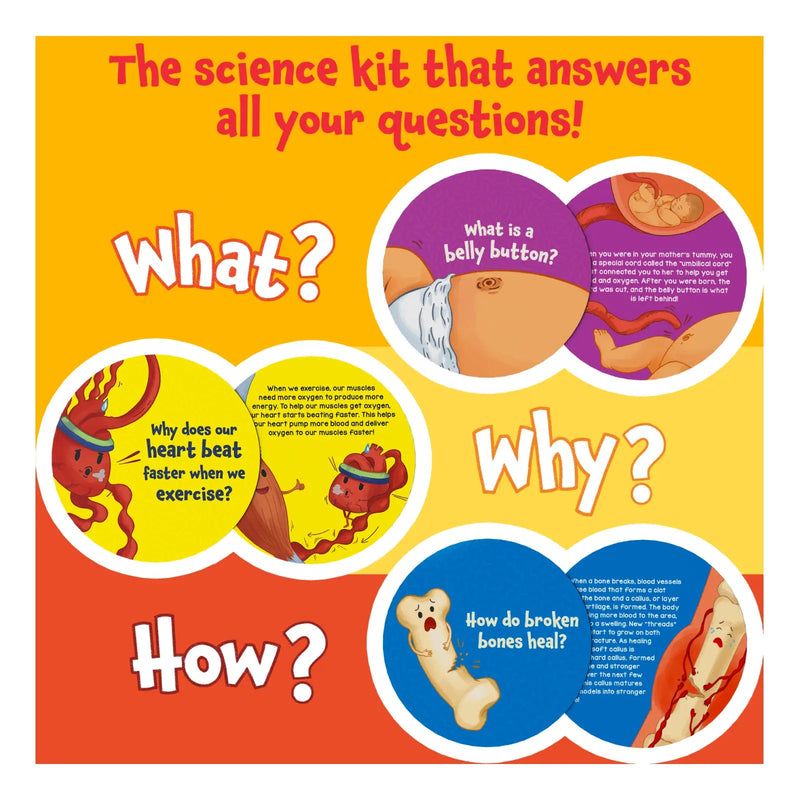 Science Snippets Kit - The Human Body