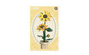 CaDa Sunflower Planter Model 187 Pieces