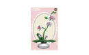 CaDa Orchid Planter Model 237 Pieces
