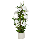 Faux Clematis in White