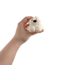 Fluffmellies Cute Dog
