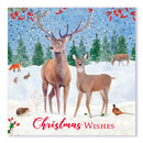 Christmas Cards 12 Pack - Winter Deer