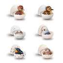Tenori Friends Figure - Baby Birds Assortment