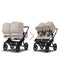 Bugaboo Donkey 5 Twin Carrycot & Seat Pushchair - Desert Taupe