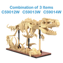 CaDA Dinosaur Fossil Triceratops 272 Pieces