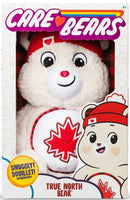 Care Bears 14" Plush - True North