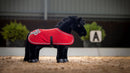 LeMieux Pony Rug - Chilli