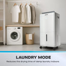 Daewoo Dehumidifier 12L