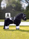 LeMieux Pony Saddle - Black