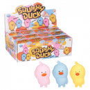 Squishy Duck Assorted
