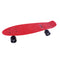 Plastic Skateboard 22in