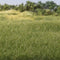 All Game Terrain 4mm Medium Green Static Grass