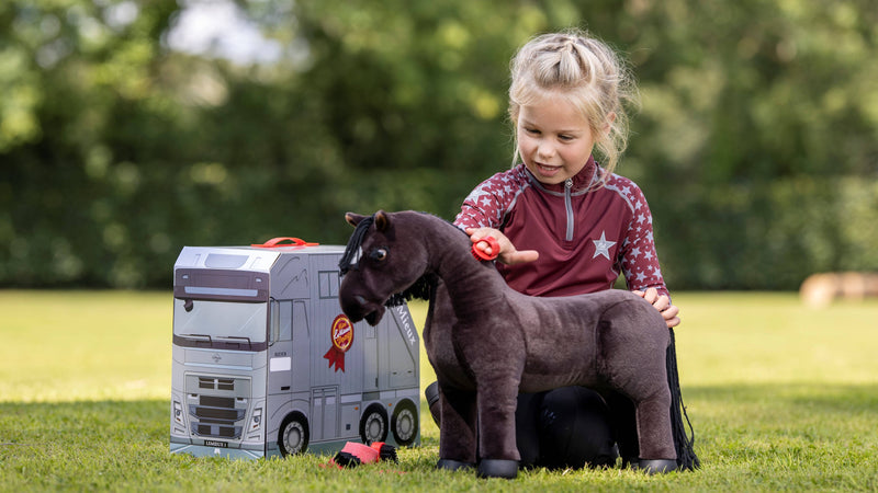 LeMieux Pony Grooming Kit