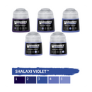 Warhammer Tone Pro Paint: Shalaxi Violet