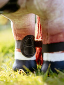 LeMieux Pony Capella Boots - Brown