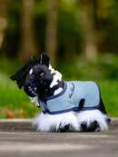 LeMieux Tiny Pony - Razzle