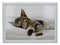 Sleeping Kitten Lap Tray