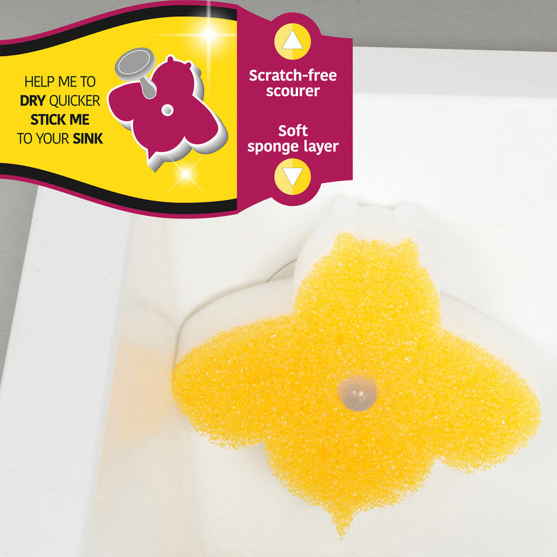 Busy Bee Double Sided Sponge 2 Pack