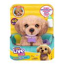 Little Live Pets My Really Real Puppy Bailey